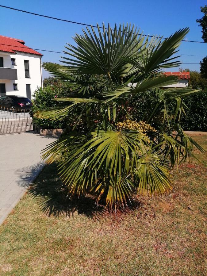 Apartment Jadranka Sveti Anton  Εξωτερικό φωτογραφία
