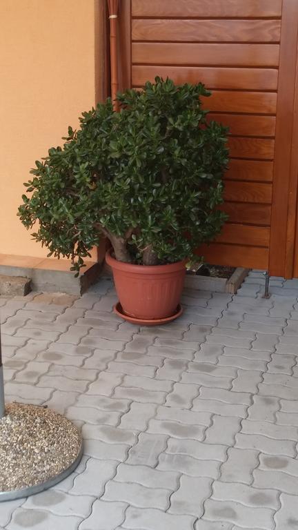 Apartment Jadranka Sveti Anton  Εξωτερικό φωτογραφία